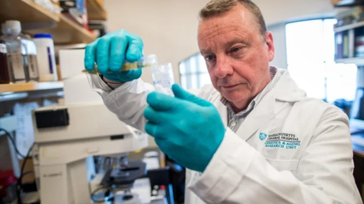 Pourrons-nous vivre jusqu’à 200 ans La science découvre une nouvelle limite pour la vie humaine 4 1787435815 933 Pourrons nous vivre jusqua 200 ans La science decouvre une nouvelle