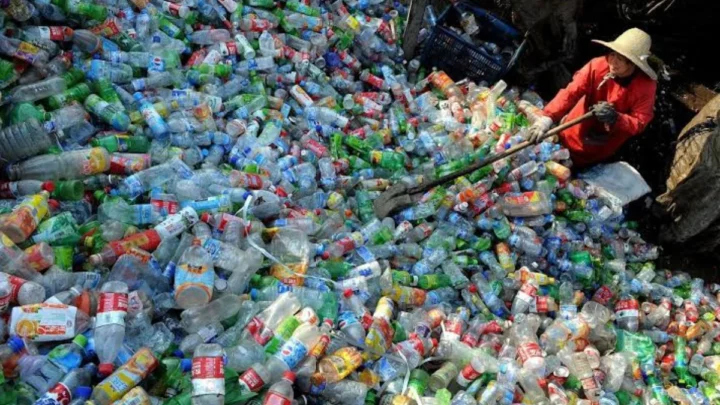 1787773422 211 Ce biscuit est ne dune bouteille en plastique et pourrait