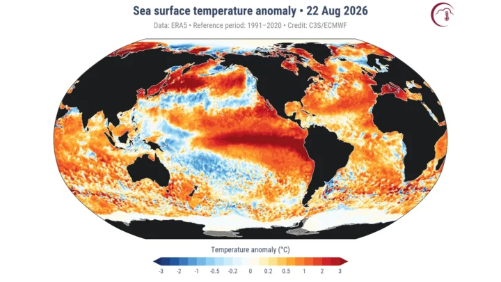 Les océans affichent des températures record et pourraient être plus chauds que depuis 125 000 ans 3 Image Océans atteignent une température record