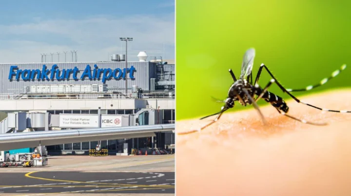 Illustration du paludisme à l'aéroport de Francfort