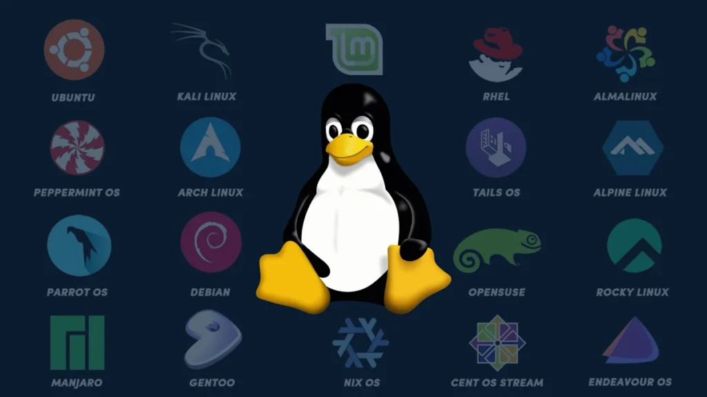 Et si le plus grand problème de Linux n’était pas le système, mais la communauté 2 Distributions Linux