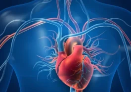 Les cardiologues redéfinissent l’insuffisance cardiaque : un cœur "normal" peut ne pas être sain 90 Les cardiologues redéfinissent l’insuffisance cardiaque : un cœur "normal" peut ne pas être sain