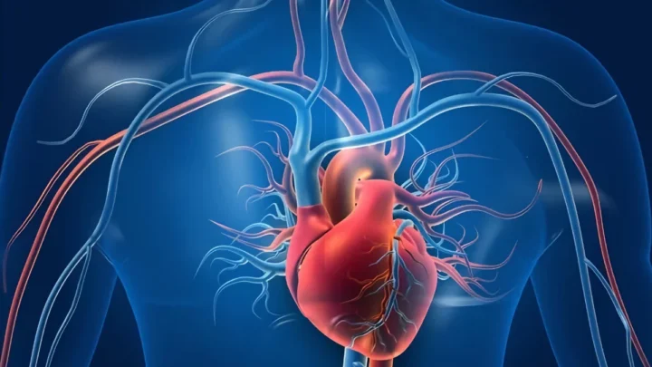 Les cardiologues redéfinissent l’insuffisance cardiaque : un cœur "normal" peut ne pas être sain 2 Les cardiologues redefinissent linsuffisance cardiaque un coeur normal peut ne