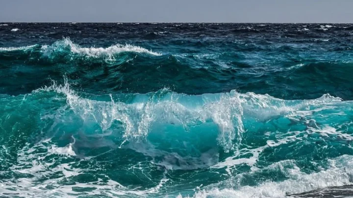 Les océans affichent des températures record et pourraient être plus chauds que depuis 125 000 ans 2 Image Océans atteignent une température record