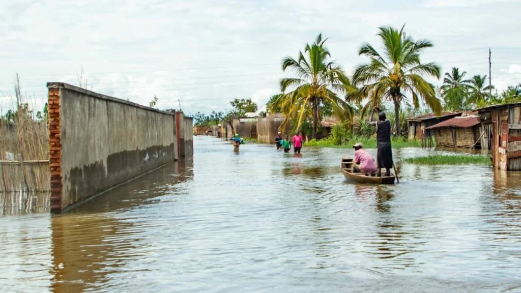 El Niño : l’OMS lance un avertissement face à une « menace majeure » pour la santé 3 El Niño: OMS lance un avertissement pour une "grande menace" à la santé