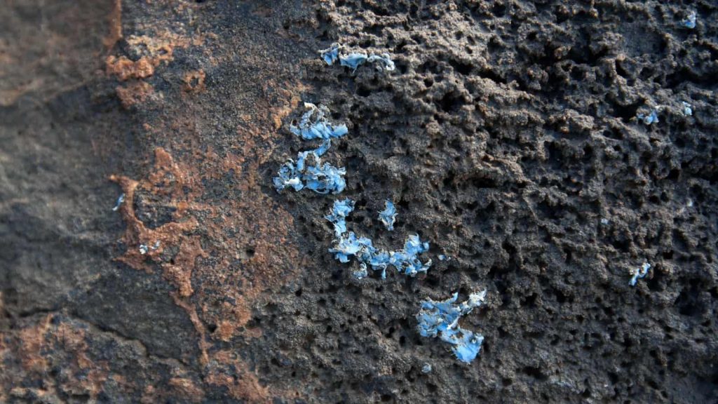 1790161013 118 Des chercheurs revelent une nouvelle pollution alarmante la pollution plastiorale