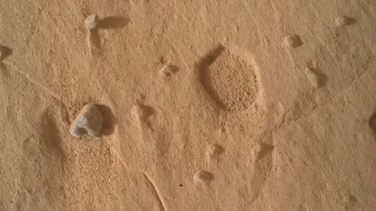 Curiosity immortalise des "empreintes" mystérieuses sur Mars et captive les chercheurs de la NASA 1 Curiosity immortalise des "empreintes" mystérieuses sur Mars et captive les chercheurs de la NASA
