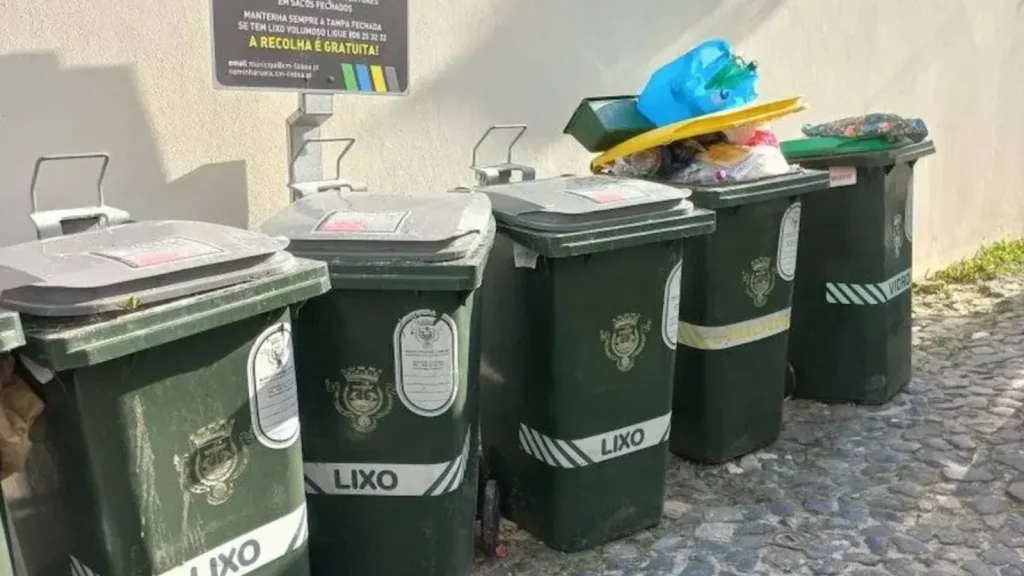 Photographie de poubelles