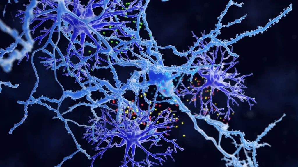 Illustration d'un neurone et de connexions synaptiques