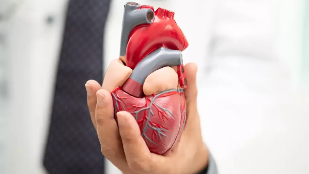 Ces microrrobots pourraient réduire un traitement cardiaque de plusieurs semaines à un jour 3 1792179348 409 Ces microrrobots pourraient reduire un traitement cardiaque de plusieurs semaines