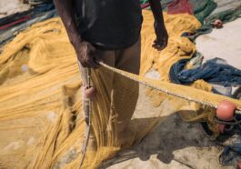 Les braconniers de la pêche font face à une nouvelle menace venue du ciel avec l'essor des satellites 82 Les braconniers de la pêche font face à une nouvelle menace venue du ciel avec l'essor des satellites