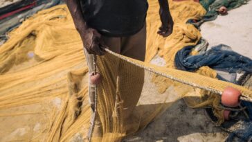 Les braconniers de la pêche font face à une nouvelle menace venue du ciel avec l'essor des satellites