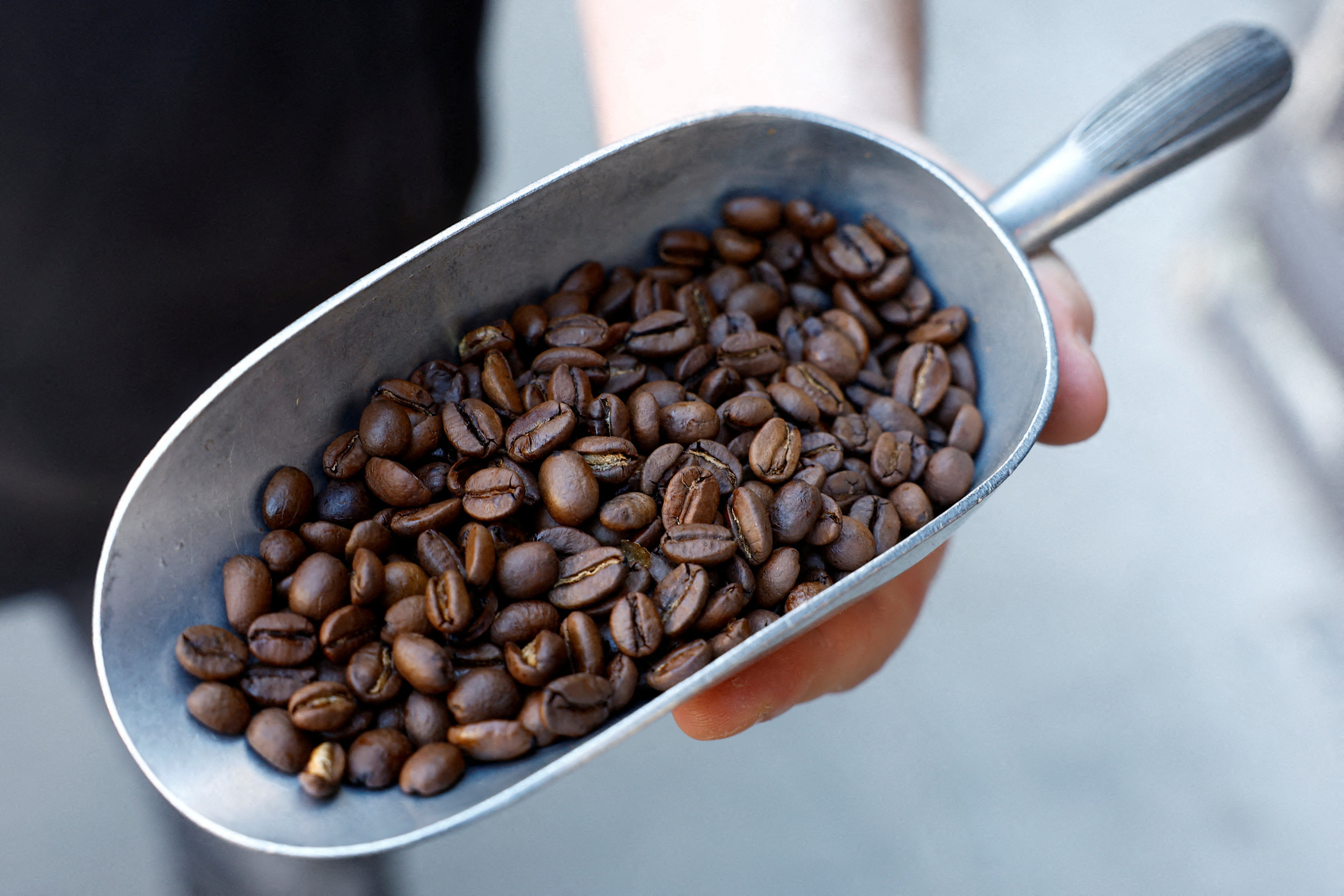 Un employé montre une cuillérée de grains de café Arabica torréfiés dans un atelier de torréfaction à Paris, en France.