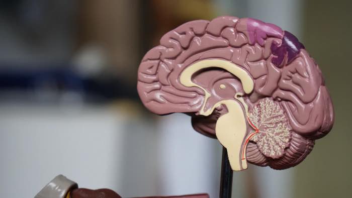 Icône de cerveau et pensée