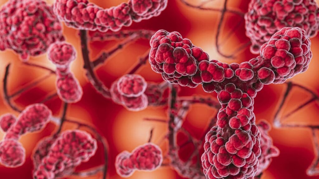 Ces microrrobots pourraient réduire un traitement cardiaque de plusieurs semaines à un jour 4 Ces microrrobots pourraient reduire un traitement cardiaque de plusieurs semaines