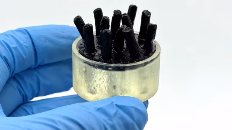Et si notre intestin détenait le secret d'une nouvelle génération de batteries 1 Et si notre intestin détenait le secret d'une nouvelle génération de batteries